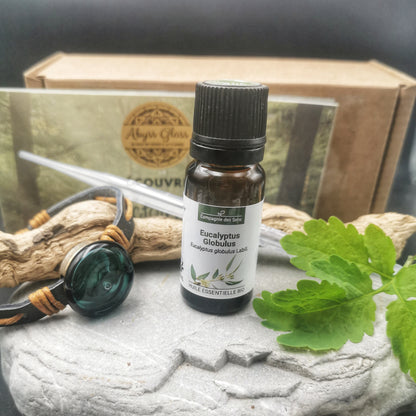 Olfactotherapy® box / Essential oil diffuser