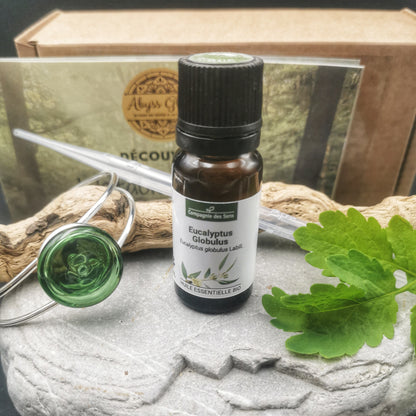 Olfactotherapy® box / Essential oil diffuser